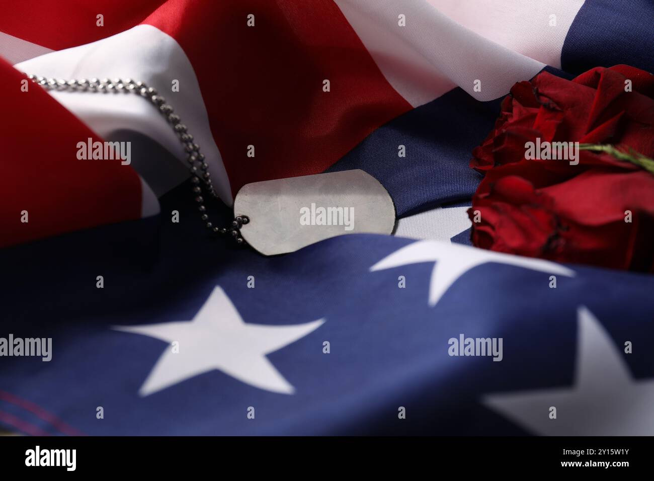Armv On Roses Veterans day. Army token, American flag and roses, closeup Stock Photo ...