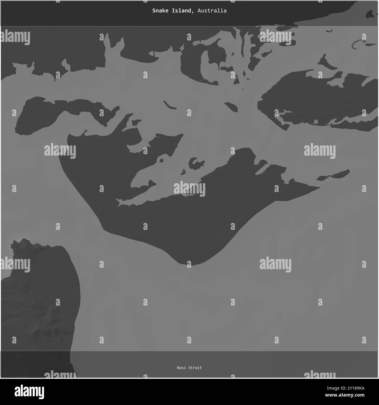 Snake Island in the Bass Strait, belonging to Australia, cropped to ...