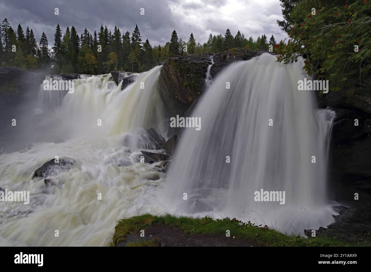 Spectacular waterfalls in the middle of a dense forest under a cloudy sky, Ronja the Robber's Daughter, filming location, Ristafallet, Jaerpen, Jaemtl Stock Photo