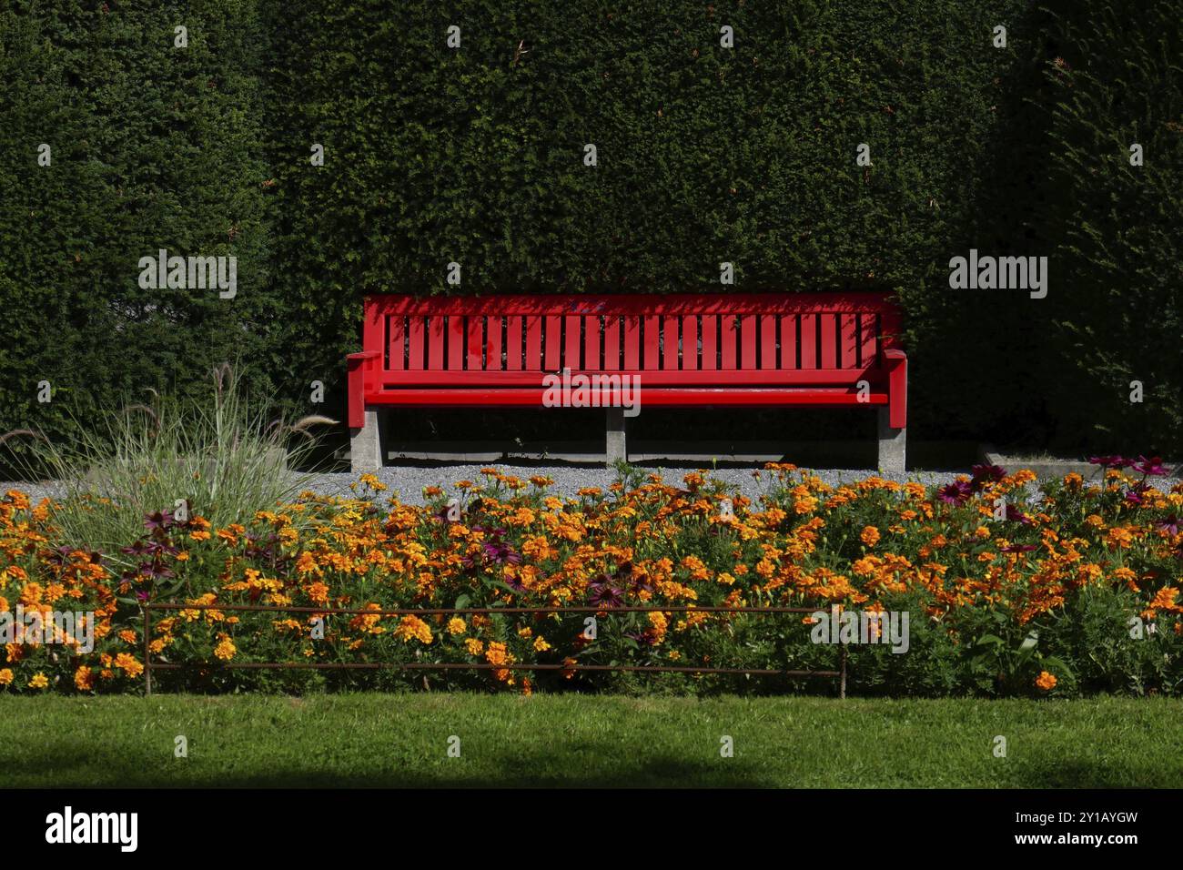 Red bench in middle hi-res stock photography and images - Alamy
