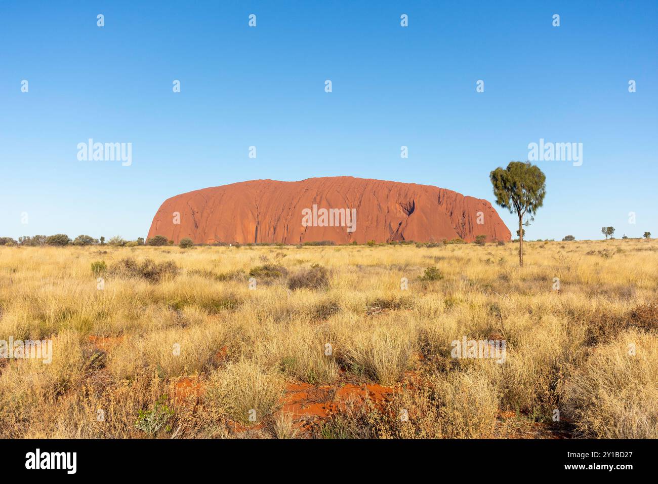 Uluru (Ayers Rock) at sunset, Uluṟu-Kata Tjuṯa National Park, Northern Territory, Australia Stock Photo