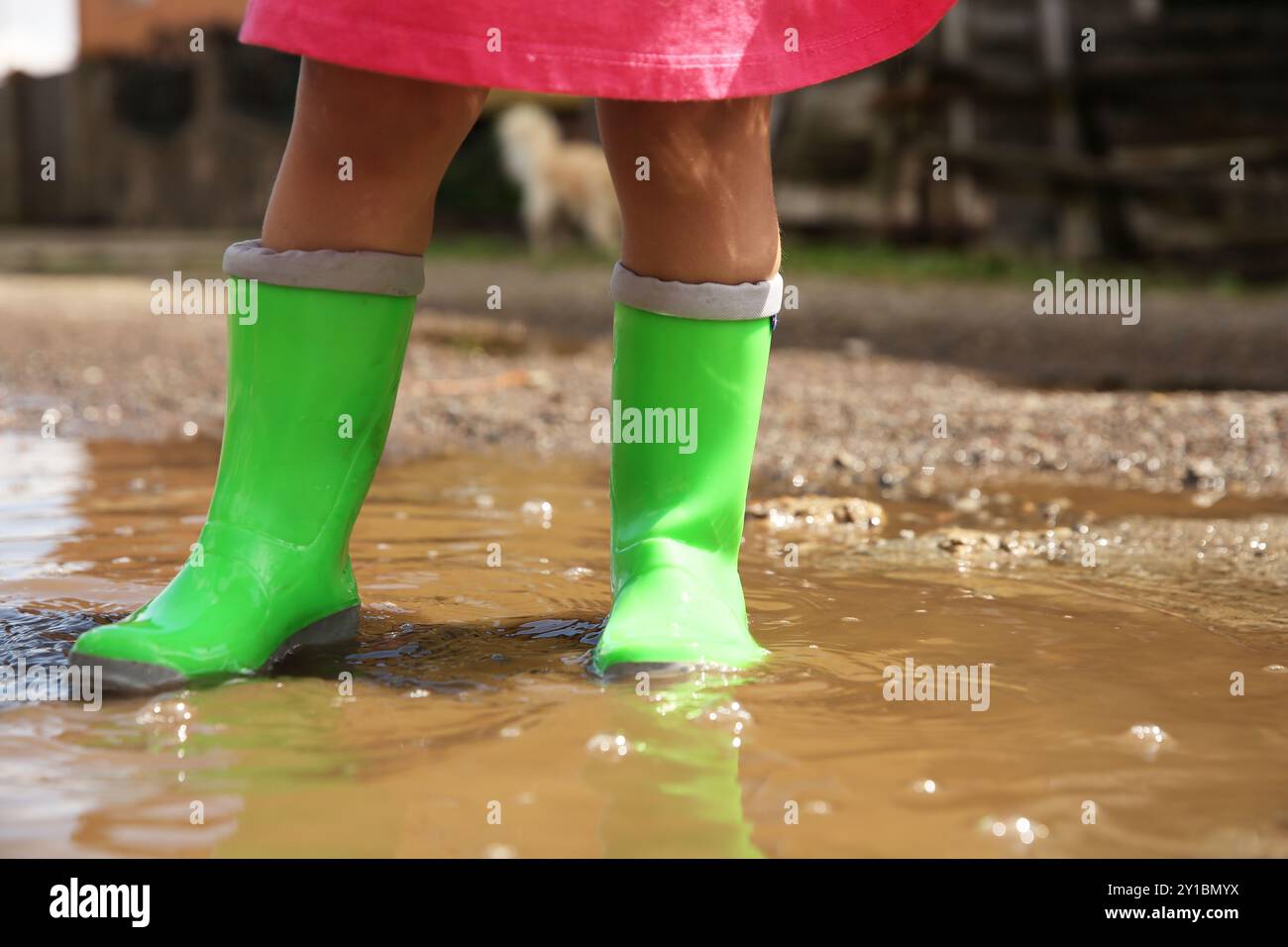 Little girl wearing green rubber boots standing in puddle outdoors ...