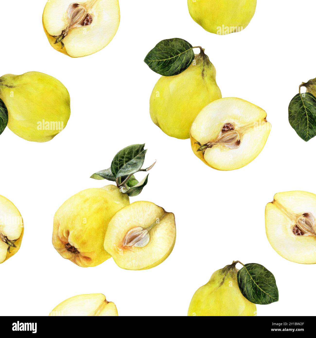 A Watercolor Seamless Pattern of Quince for Various Creative Uses and ...