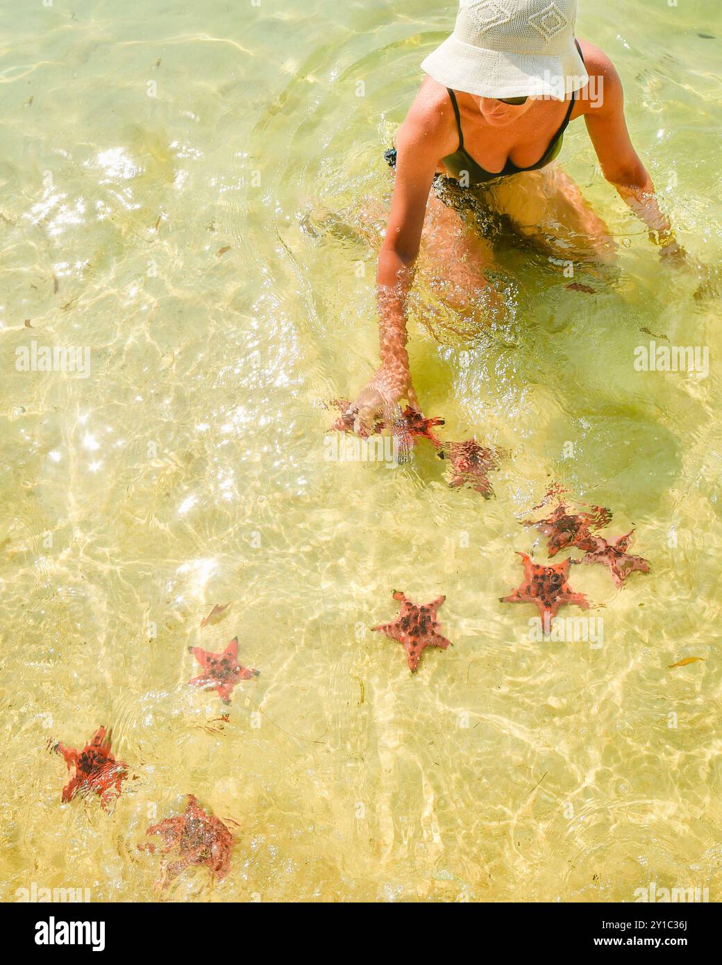 Woman tourist visit star fish beach pick starfish in famous tropical ...