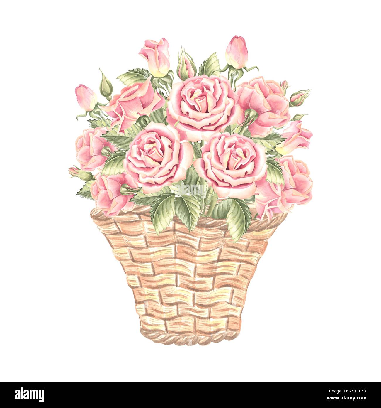 Roses bouquet with green leaves in wicker basket. Spring flowers ...