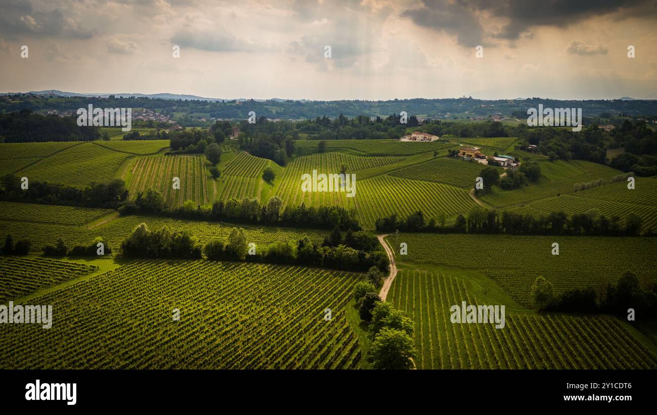 CONEGLIANO, ITALY – JUNE 5, 2024: Vineyards on the UNESCO-listed hills of Conegliano. These picturesque vineyards are renowned for producing Prosecco Stock Photo