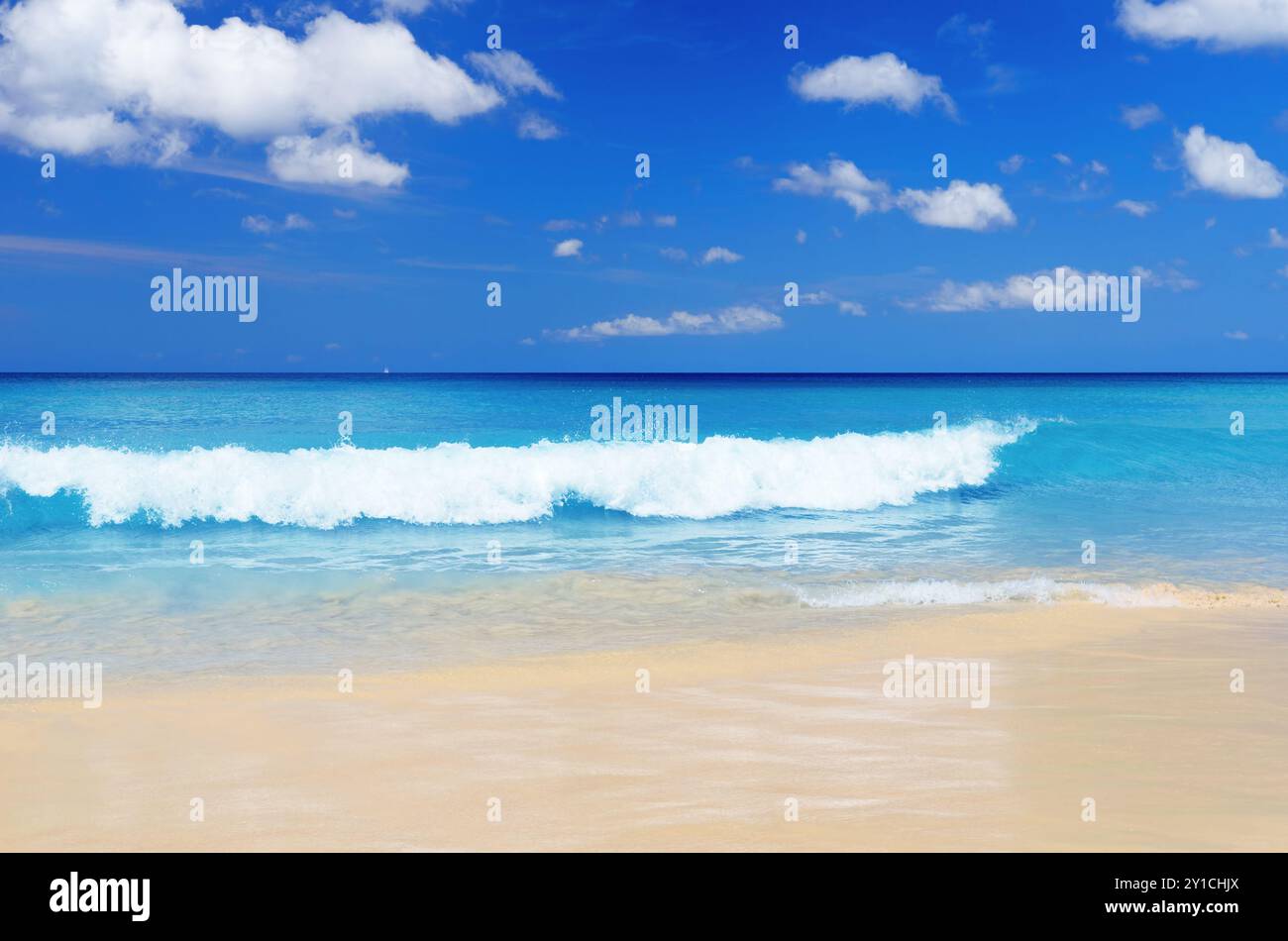 Tropical beach. Blue sky and clear water Stock Photo - Alamy