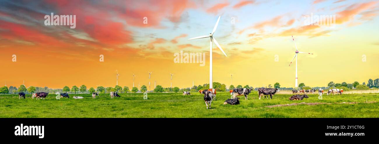 Windmill Cows, Hinte, GErmany Stock Photo