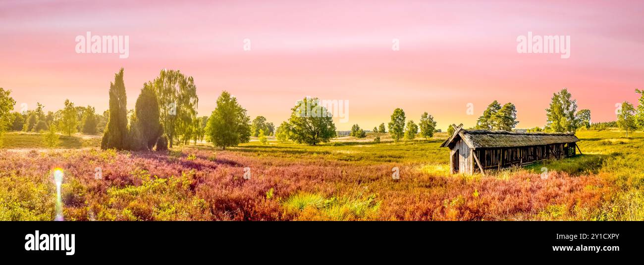 Lüneburg Heath, Germany Stock Photo