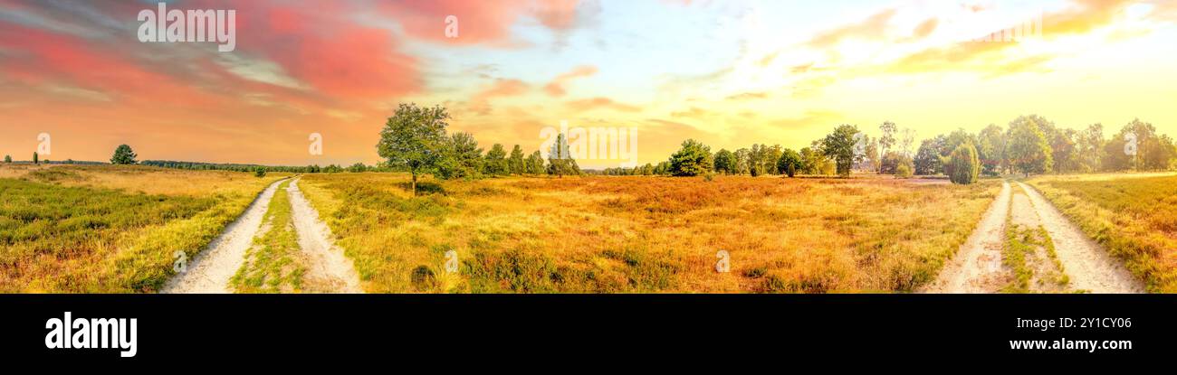 Lüneburg Heath, Germany Stock Photo