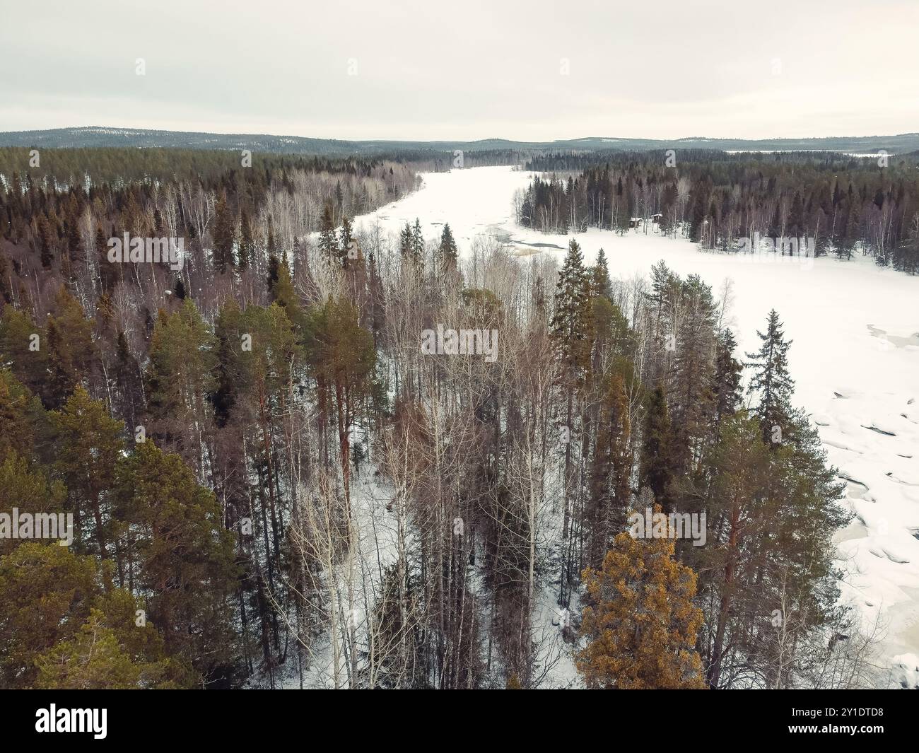 Forest Near Rovaniemi Green trees in snowy forest next to arctic river in Rovaniemi, Lapland ...