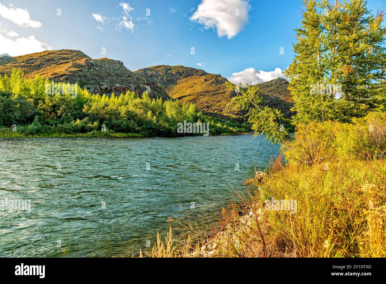 River bank wild grass water hi-res stock photography and images - Alamy