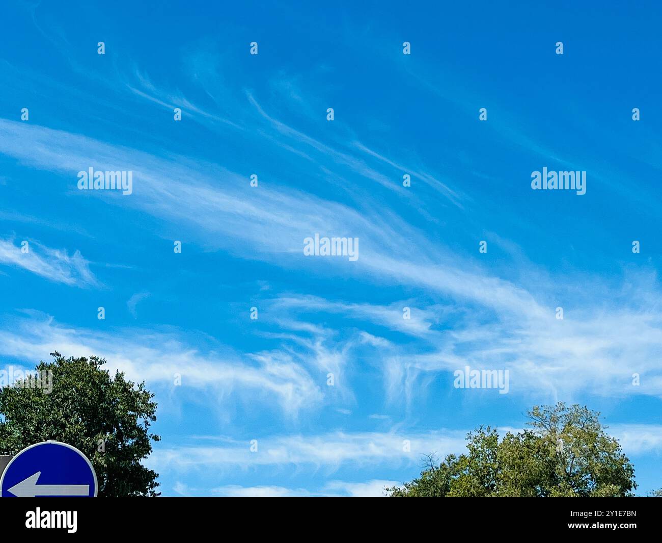 Sky with Clouds in streaked pattern above treetops Stock Photo - Alamy