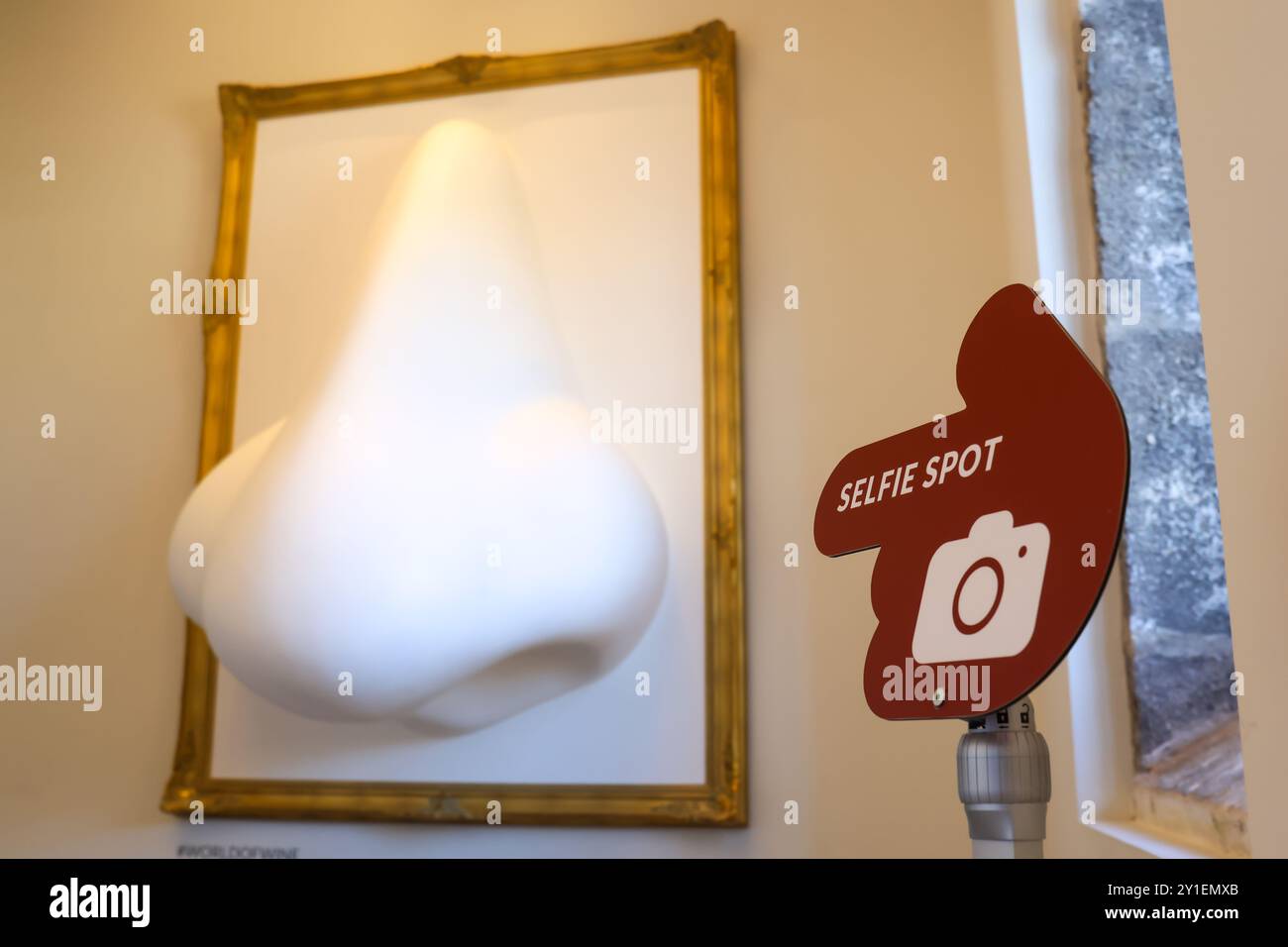 Selfie spot with nose. Stock Photo