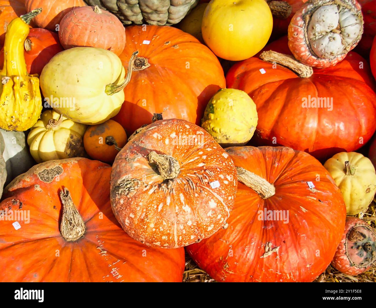 Orange und gelbe farben hi-res stock photography and images - Alamy