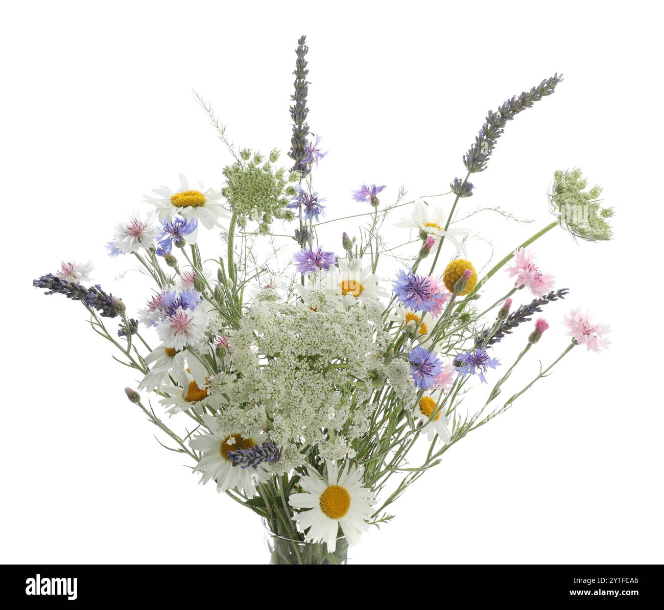 Bouquet of beautiful wildflowers isolated on white Stock Photo - Alamy
