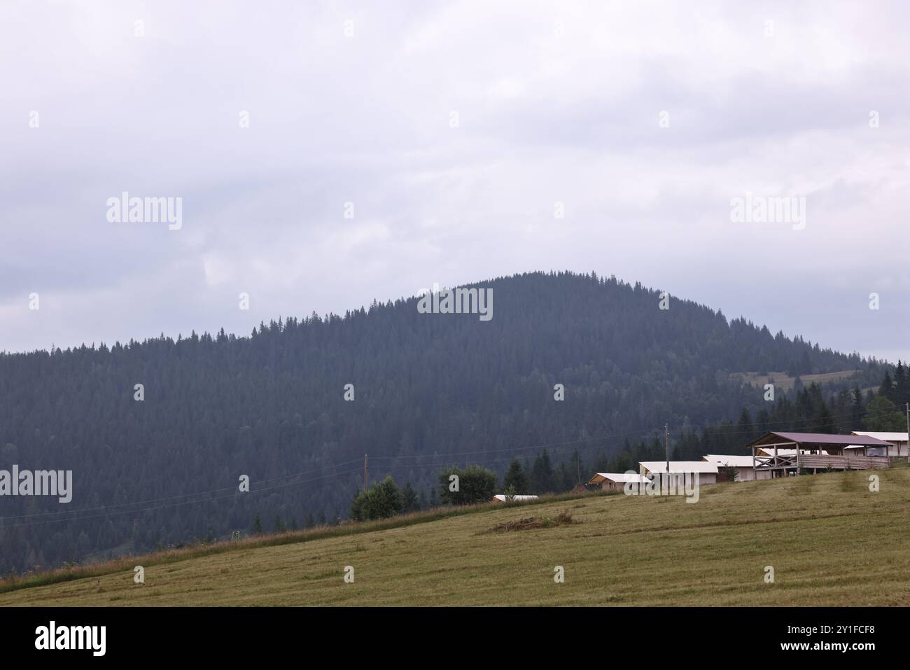 Picturesque environment hi-res stock photography and images - Alamy