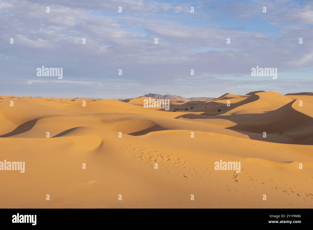 Morocco. . Beautiful sand dunes in the Sahara desert Stock Photo - Alamy