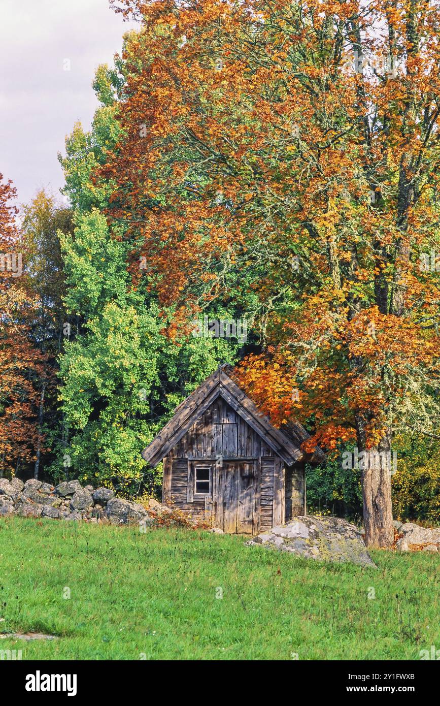 Fall colors in the countryside hi-res stock photography and images - Alamy