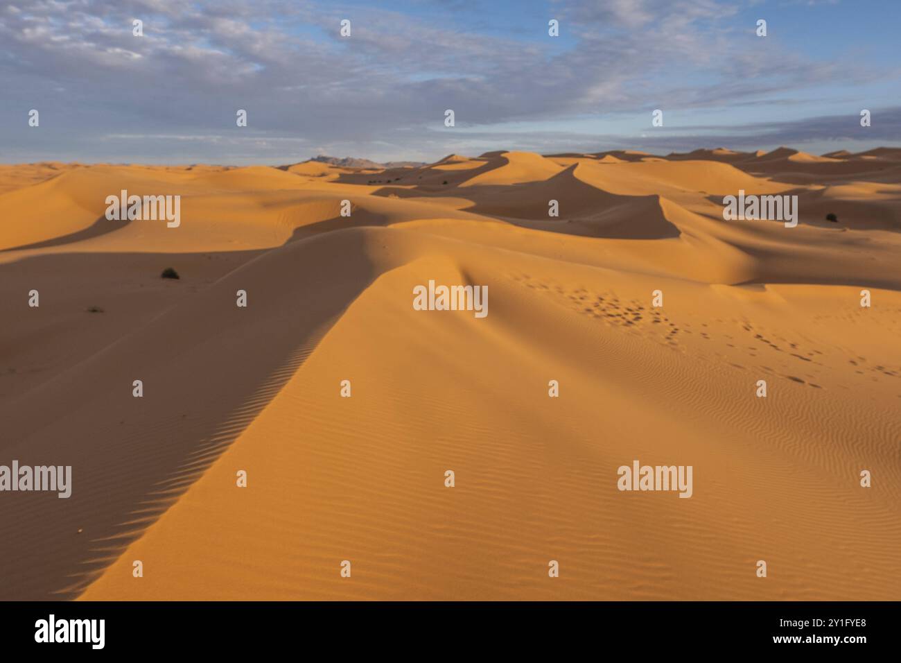 Morocco. . Beautiful sand dunes in the Sahara desert Stock Photo - Alamy