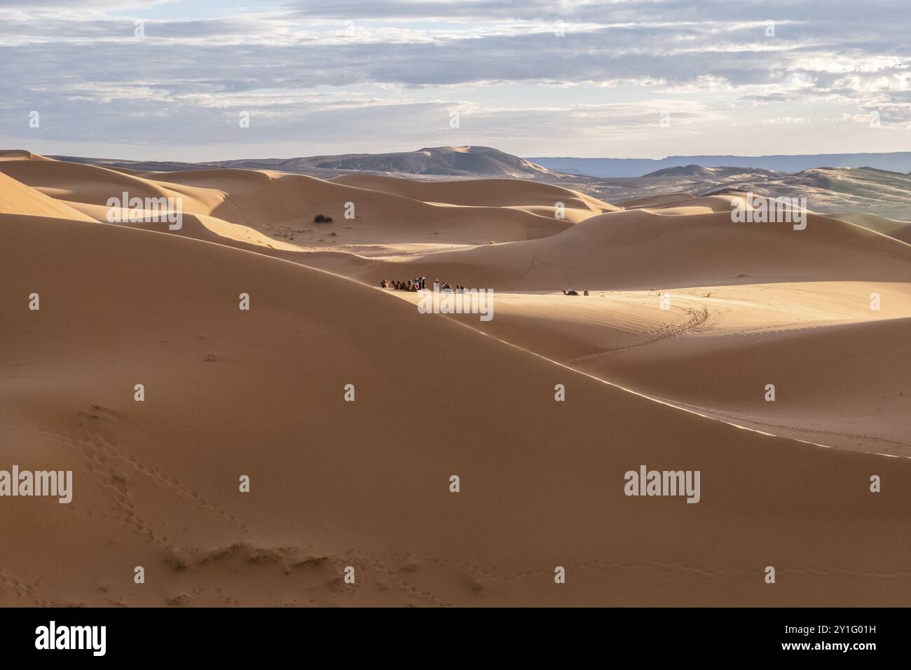 Morocco. . Beautiful sand dunes in the Sahara desert Stock Photo - Alamy