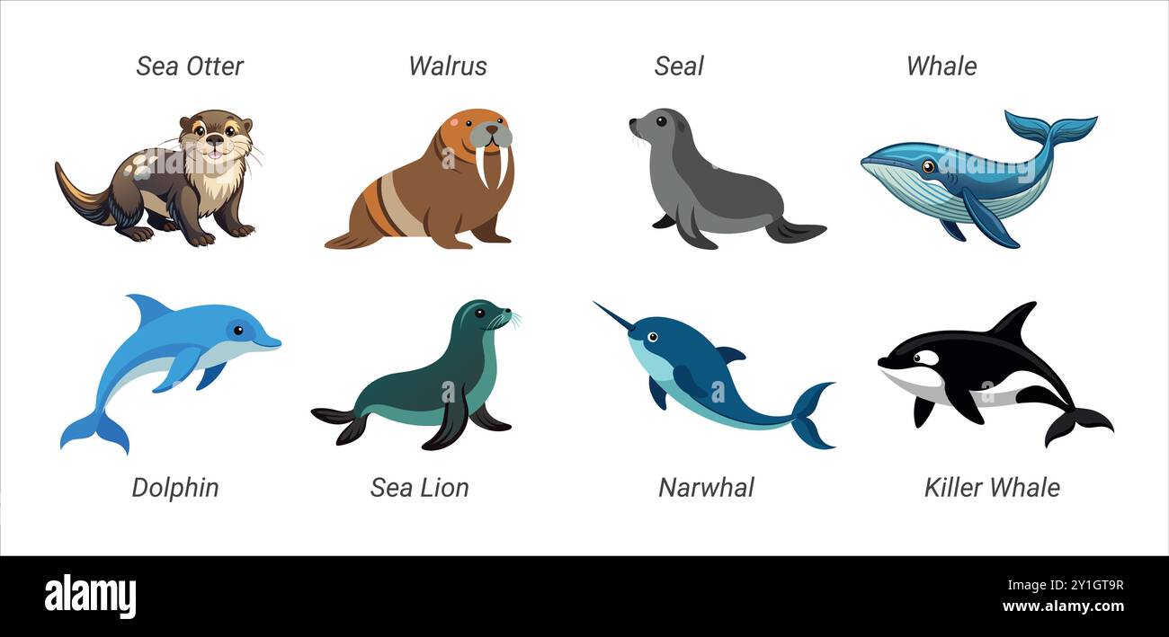 Illustration set of various marine mammals, including sea otter, walrus