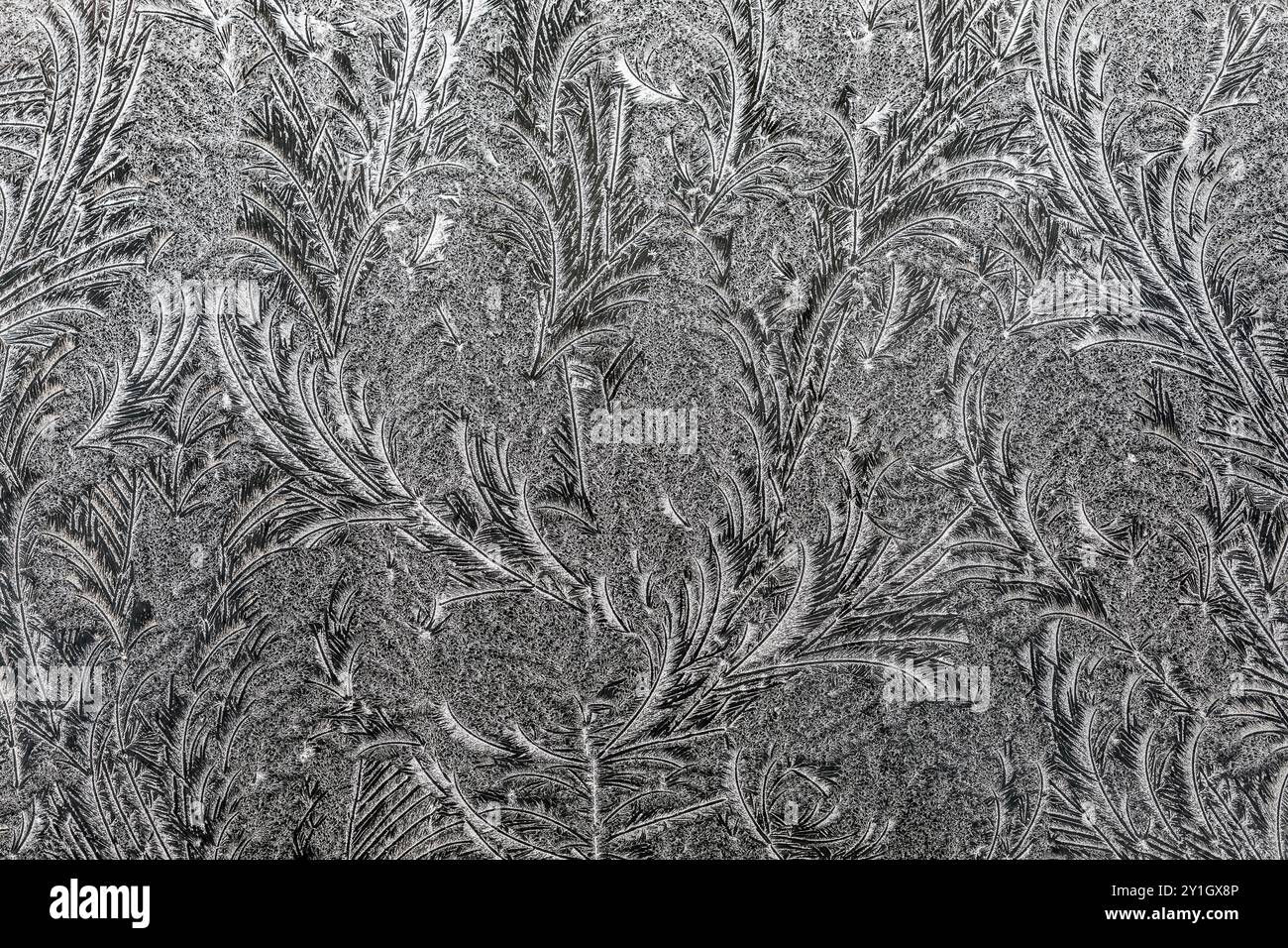 Frost Pattern on Glass; Winter; UK Stock Photo