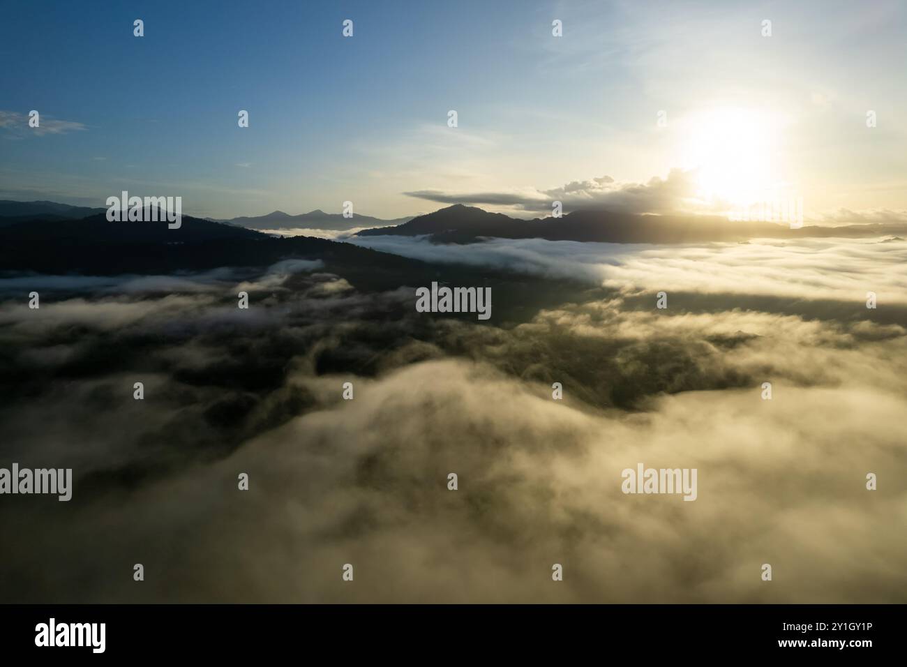 Aerial drone shot through jungle hi-res stock photography and images ...