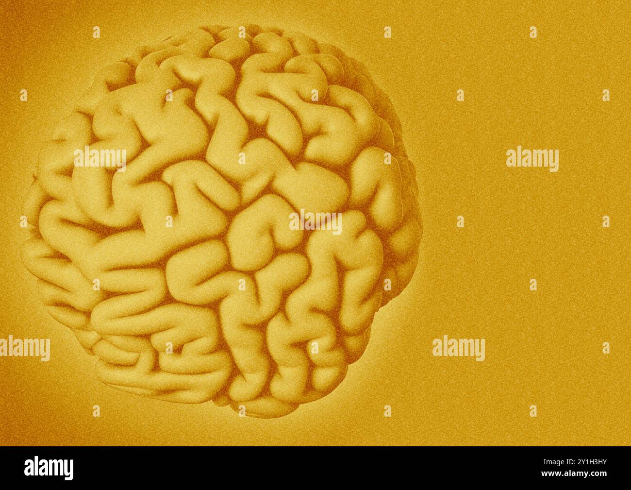 Illustration of a human brain Stock Photo - Alamy