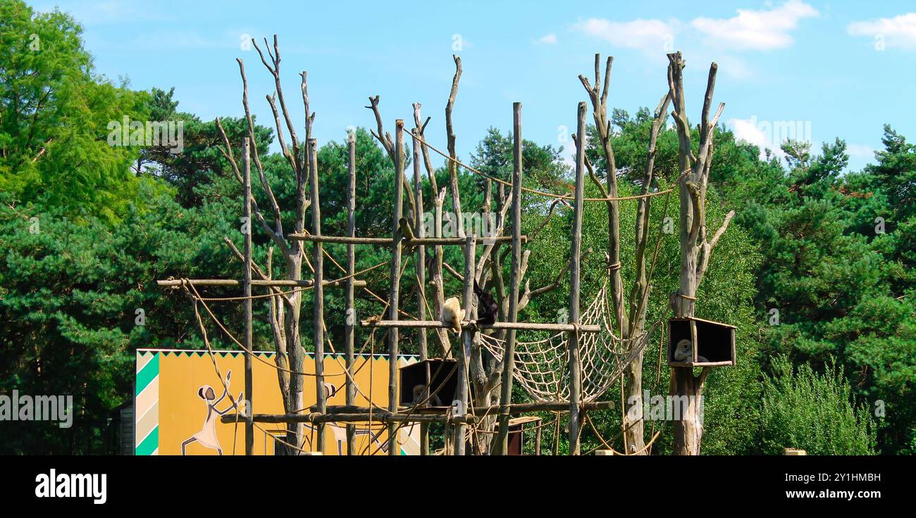 A wooden climbing structure made of branches and ropes, set in a ...