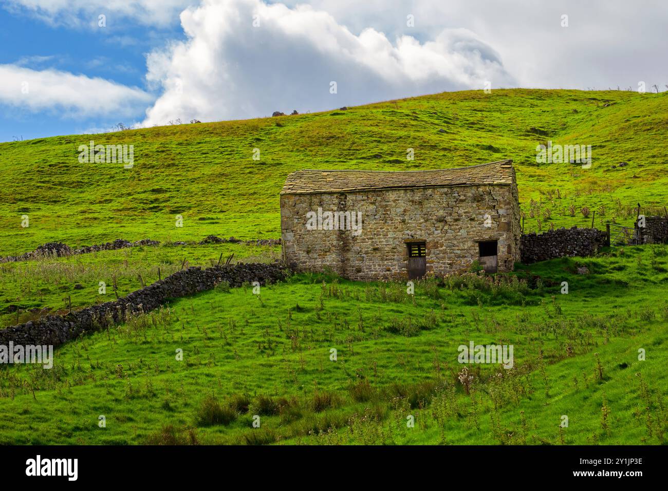 Deepdale, Langstrothdale, Yorkshire Dales National Park. Stone barn on the side of the hill in the Wharfe River valley. Stock Photo