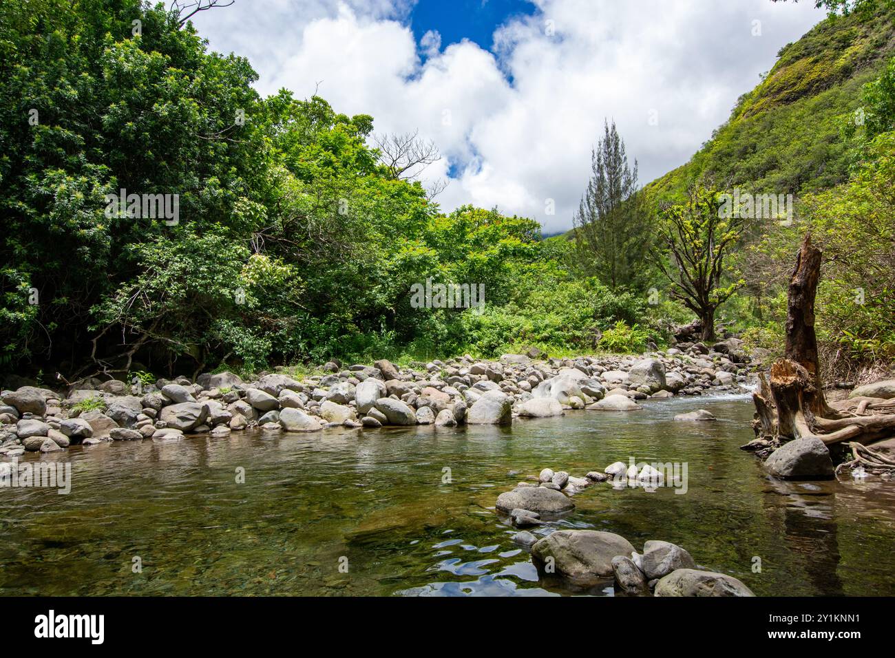 Iao valley state park in Maui, Hawaii in summer 2024 Stock Photo