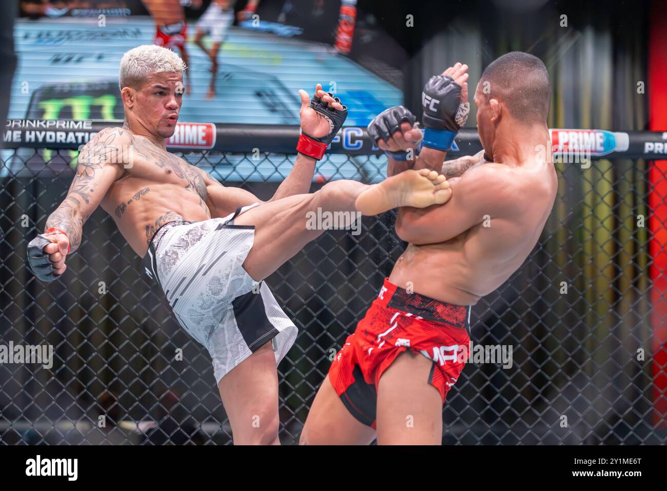 Las Vegas, USA. 7th Sep 2024. UFC Flyweight Felipe Dos Santos attempts a headkick on Andre Lima during UFC on ESPN  100 at UFC Apex Credit: Malachi Gabriel/Alamy Live News Stock Photo