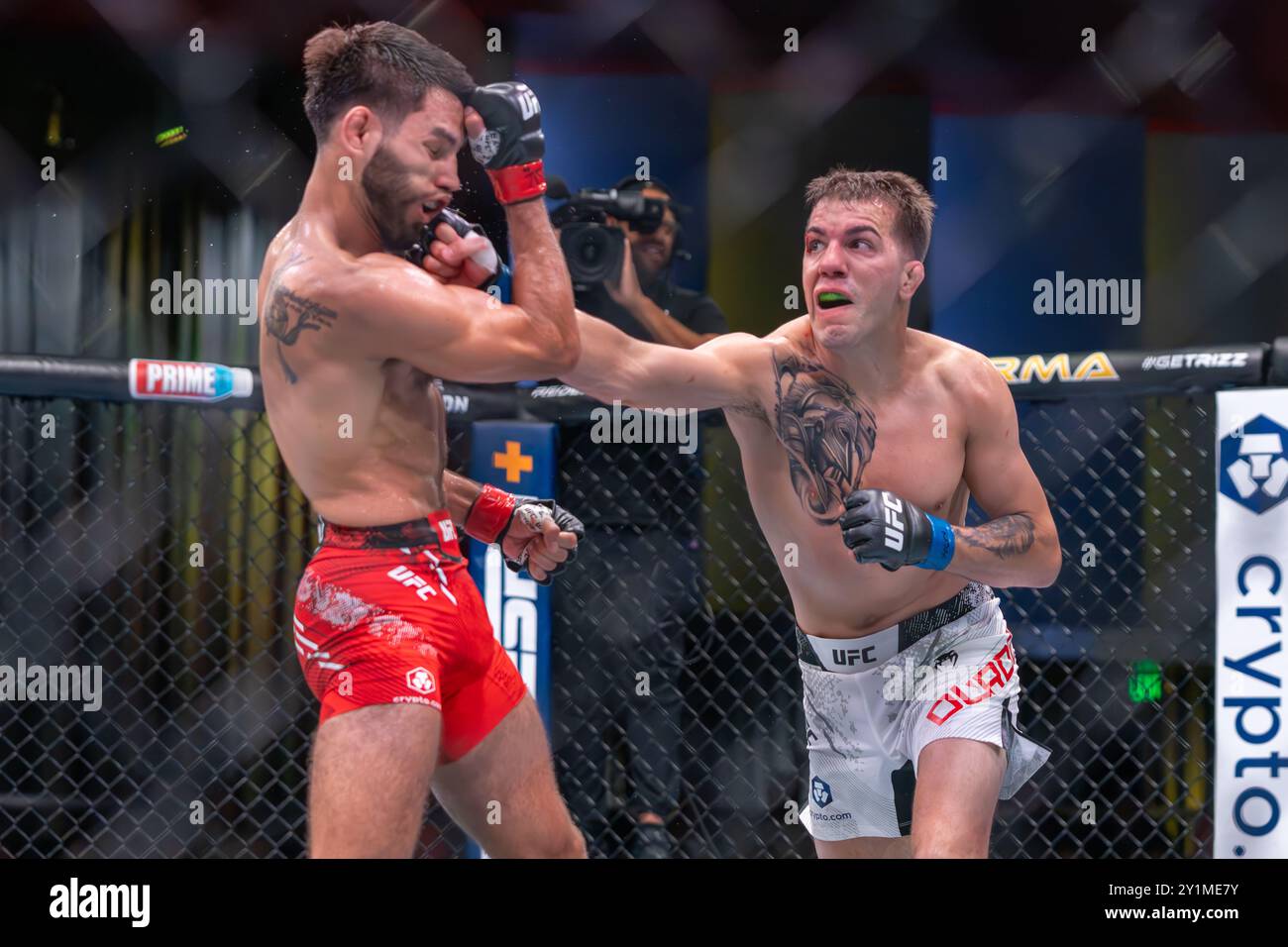 Cody ko hi-res stock photography and images - Alamy