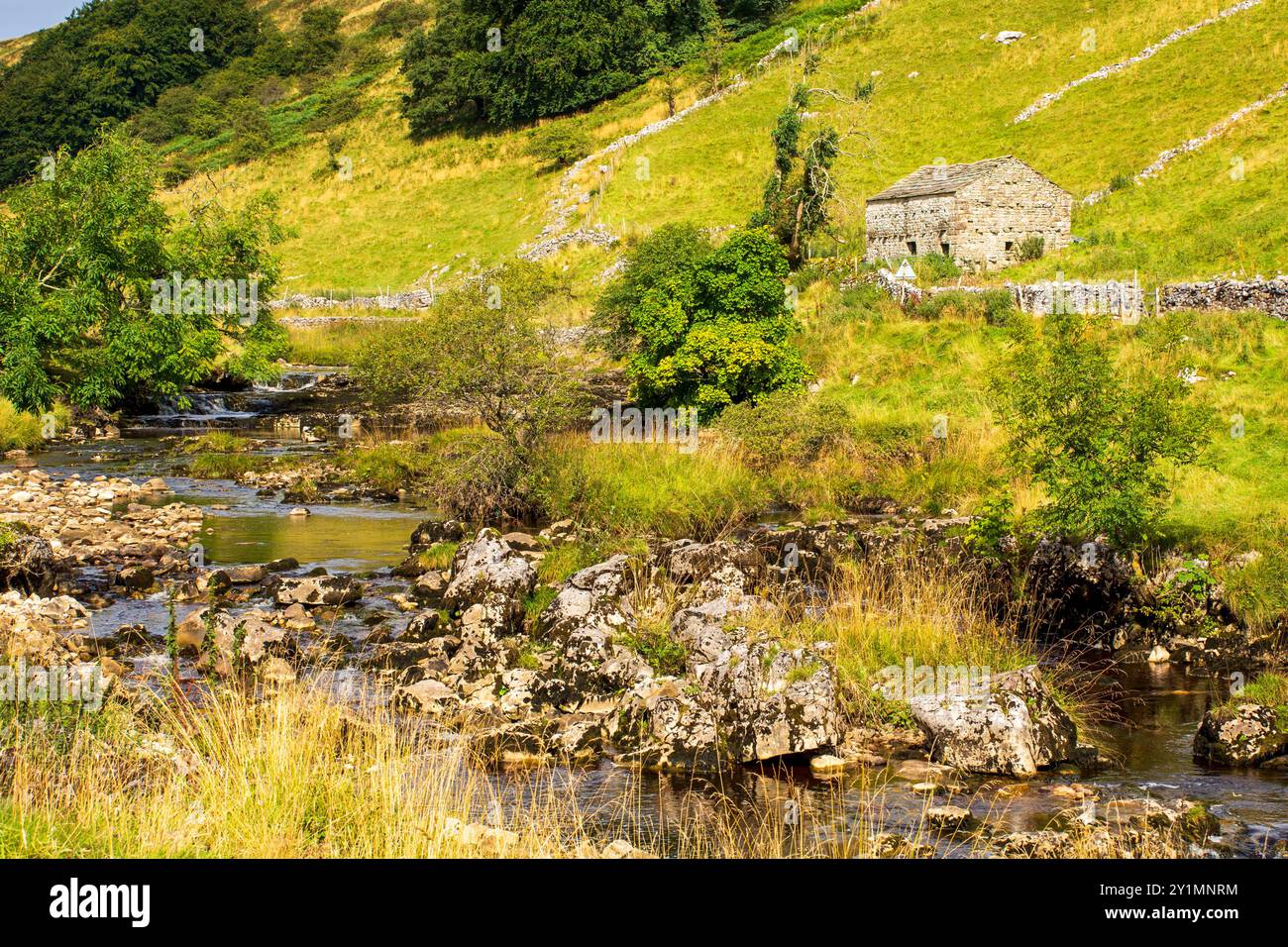 Deepdale, Langstrothdale, Yorkshire Dales National Park Stock Photo