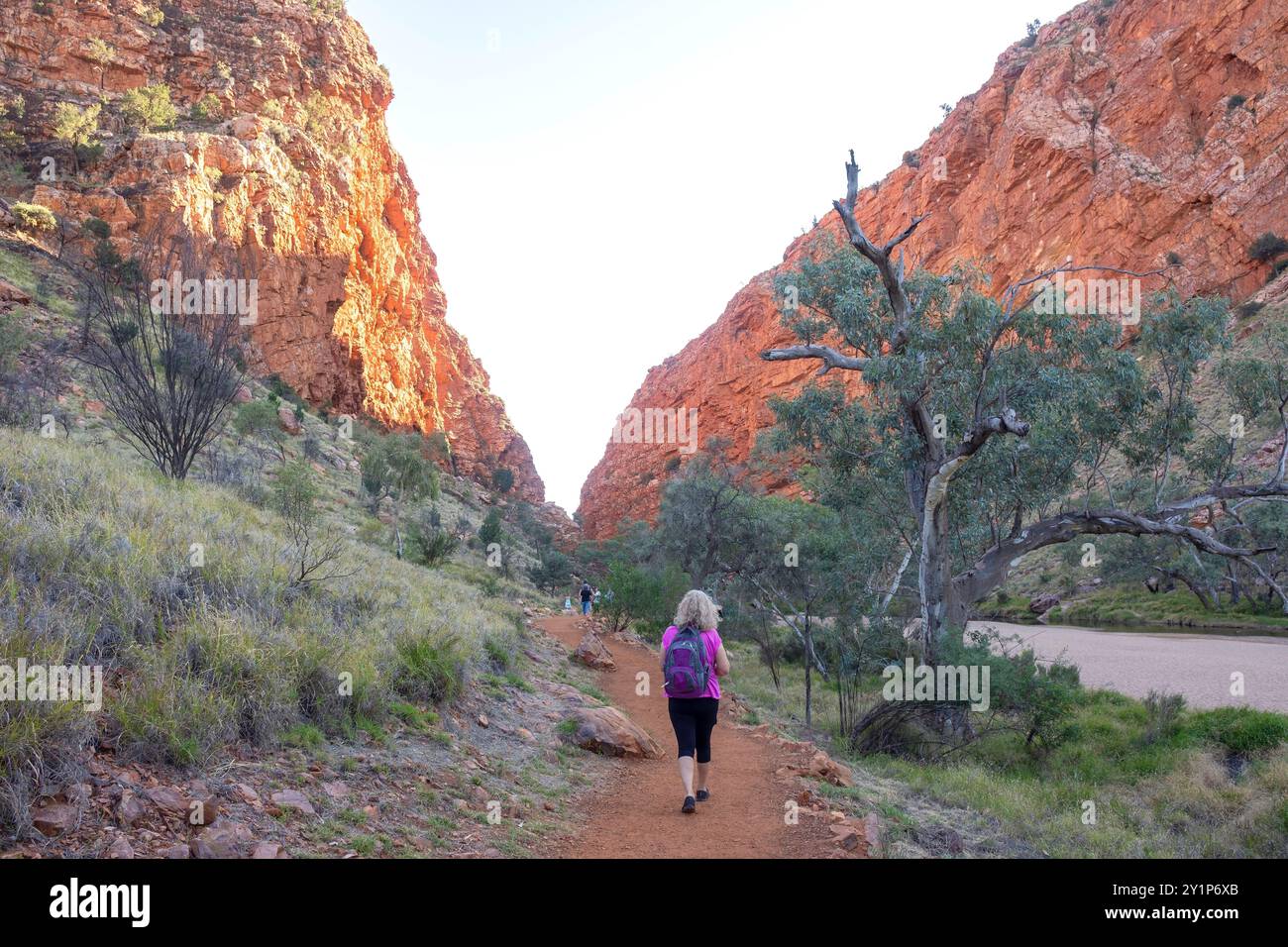 Path to Simpsons Gap, Burt Plain, West MacDonnell Ranges, Northern Territory, Australia Stock Photo