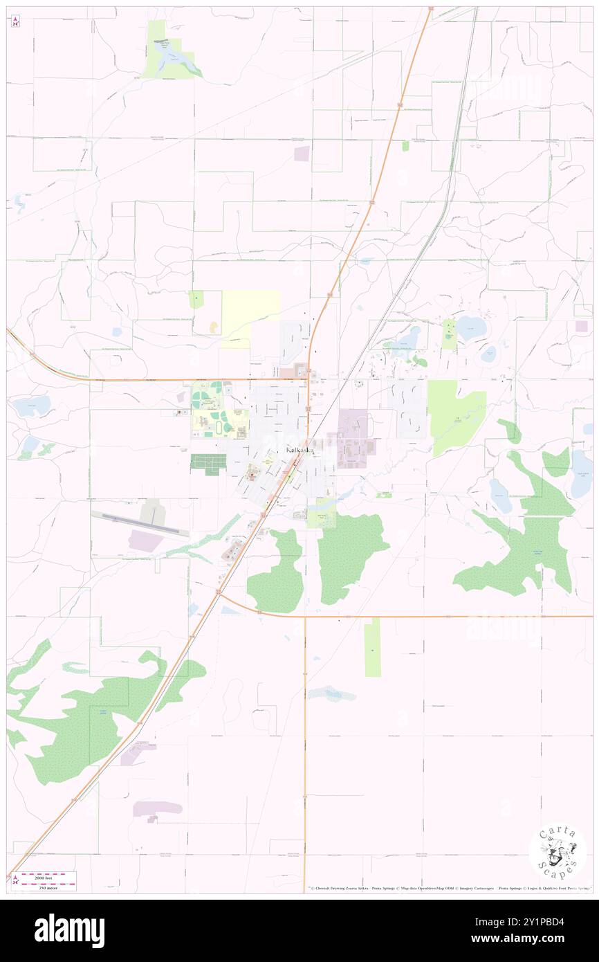 Kalkaska, Kalkaska County, US, United States, Michigan, N 44 44' 3'', S 85 10' 33'', map, Cartascapes Map published in 2024. Explore Cartascapes, a map revealing Earth's diverse landscapes, cultures, and ecosystems. Journey through time and space, discovering the interconnectedness of our planet's past, present, and future. Stock Photo