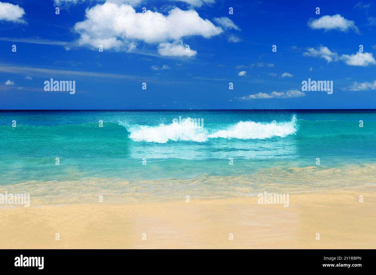 Tropical beach. Blue sky and clear water Stock Photo - Alamy