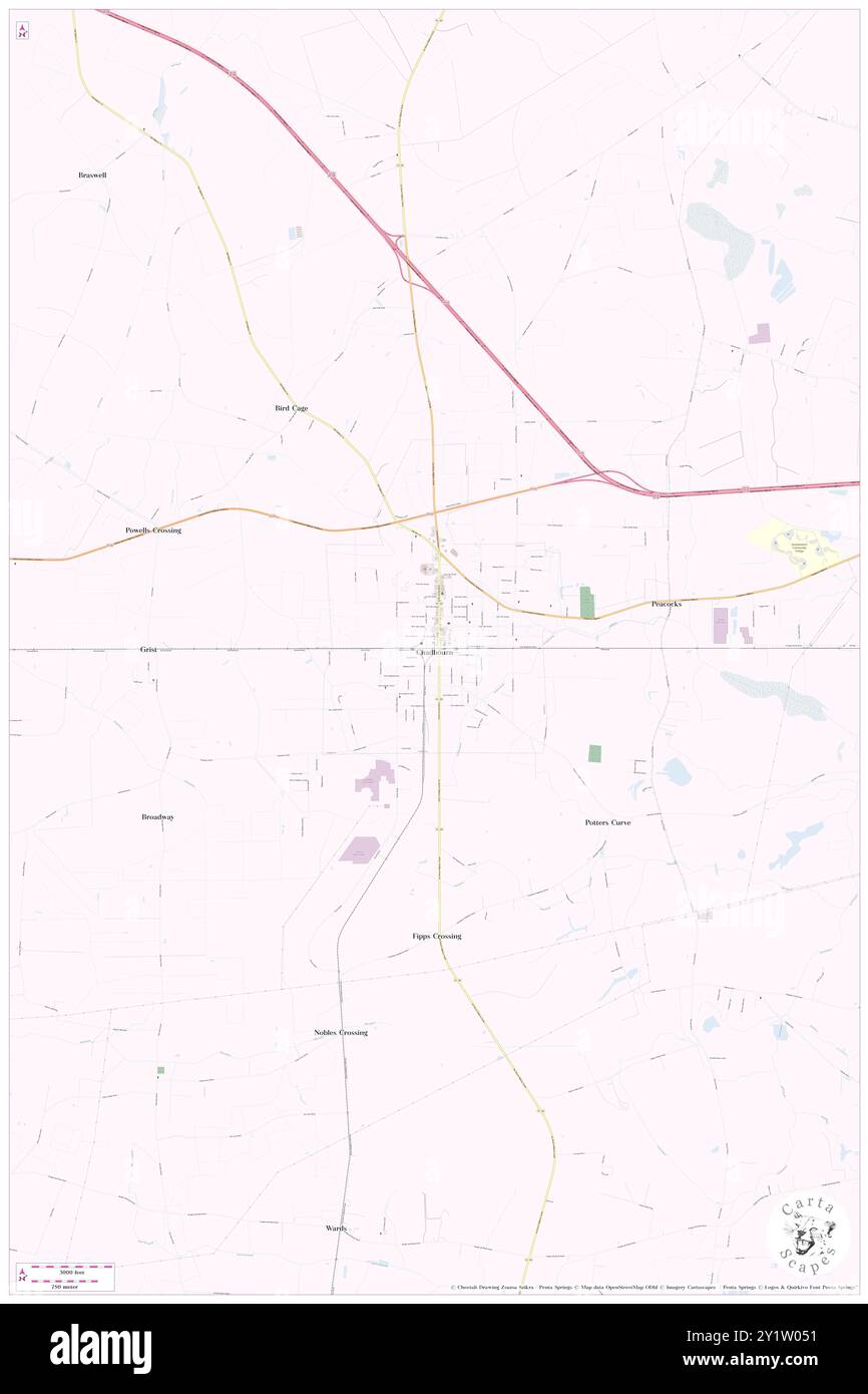 Chadbourn, Columbus County, US, United States, North Carolina, N 34 19' 19'', S 78 49' 37'', map, Cartascapes Map published in 2024. Explore Cartascapes, a map revealing Earth's diverse landscapes, cultures, and ecosystems. Journey through time and space, discovering the interconnectedness of our planet's past, present, and future. Stock Photo