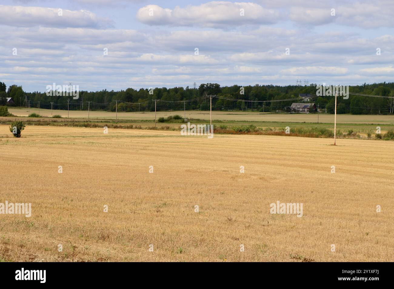 Large agricultural fields near Loviisa in Southern Finland, August 2024 Stock Photo