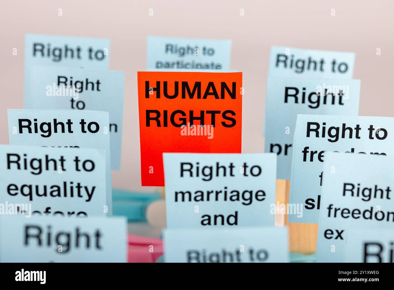 Visual diversity highlights hi-res stock photography and images - Alamy