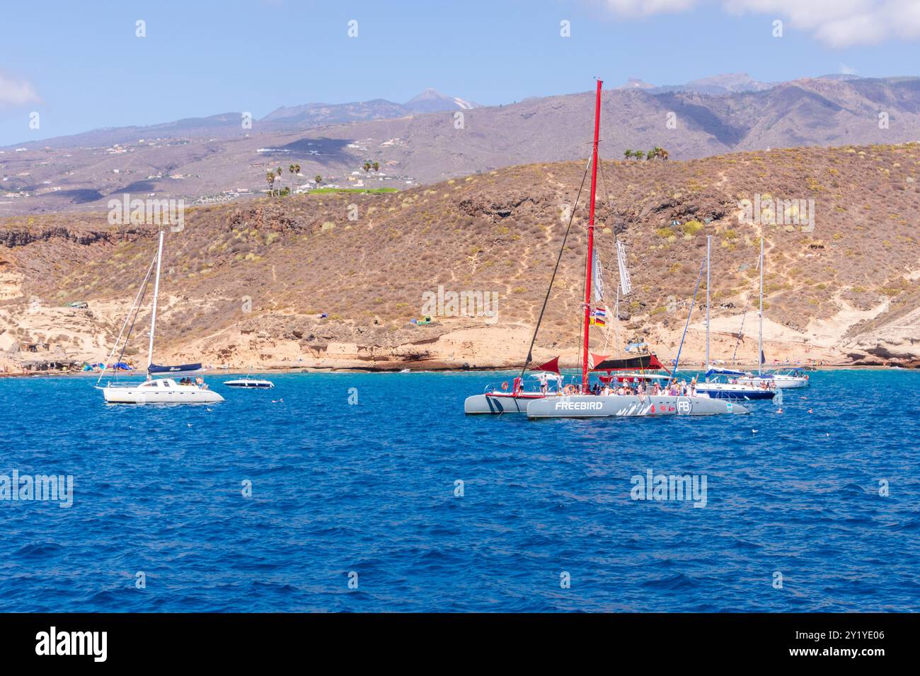 Vor Teneriffa geankerte Boote und Katamaran nach einer Walbeobachtung. Stock Photo