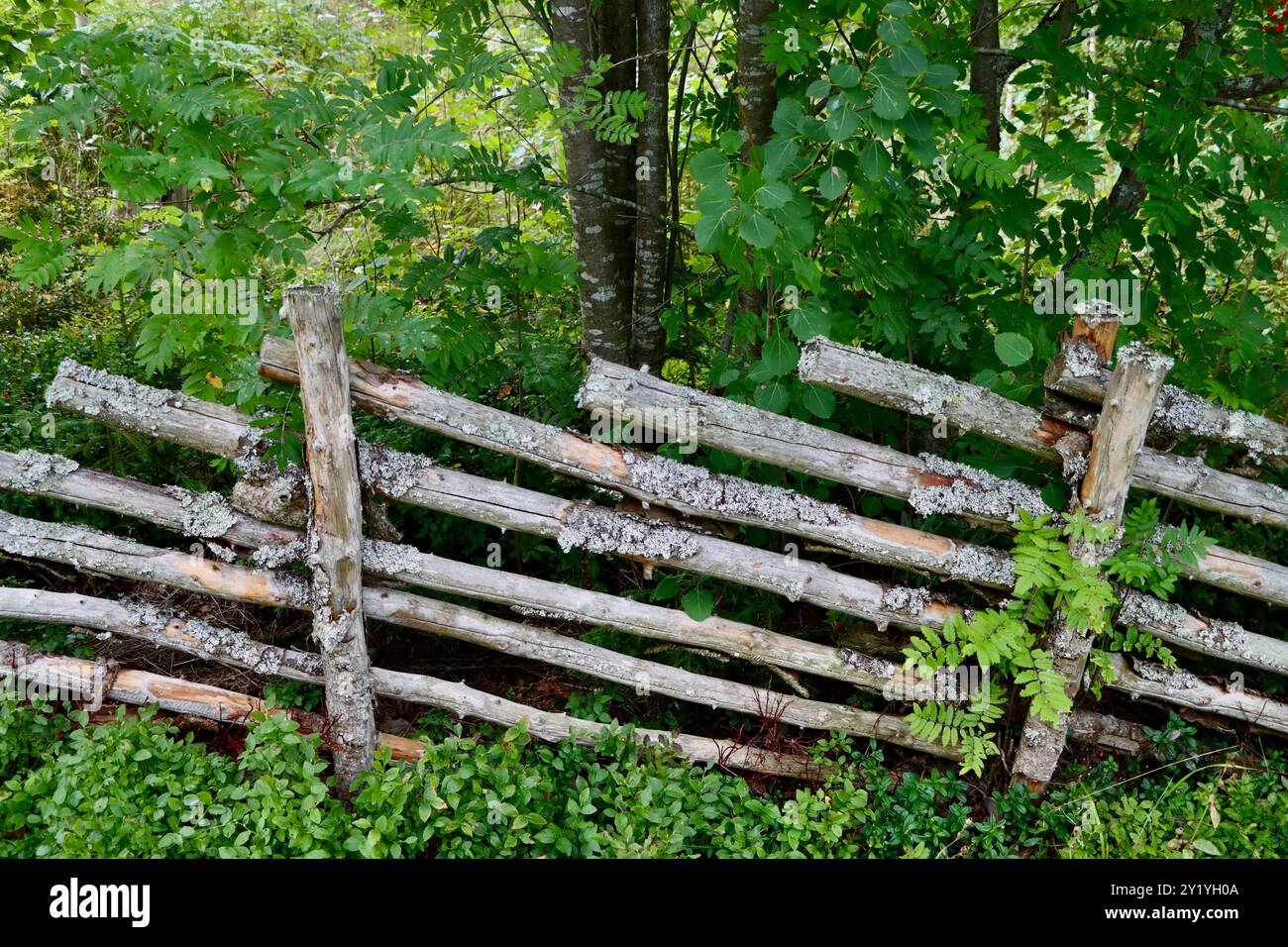 Old fashioned fence hi-res stock photography and images - Alamy