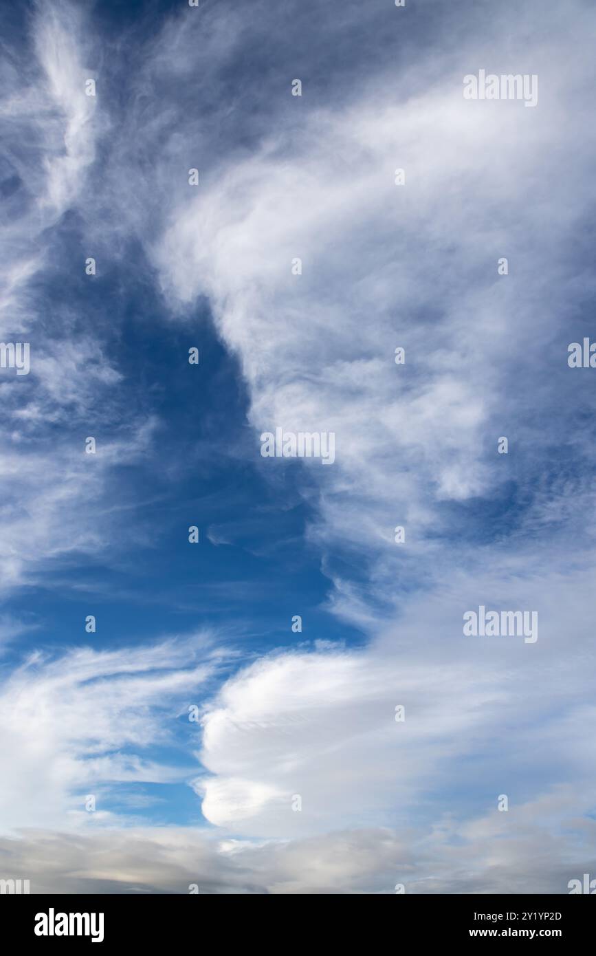 Looking up at fluffy clouds and a blue sky Stock Photo