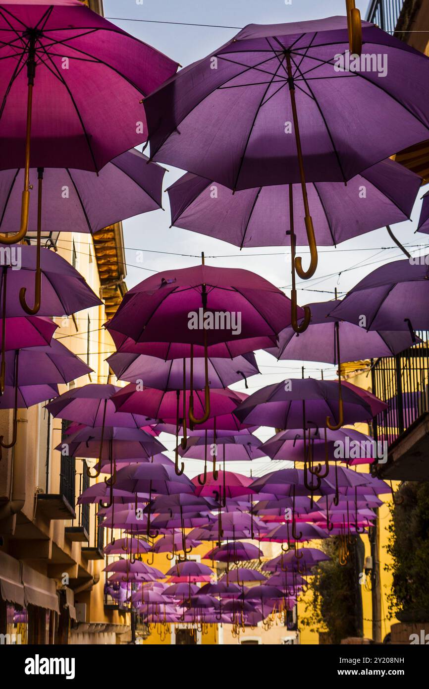 Umbrellas on the streets Stock Photo
