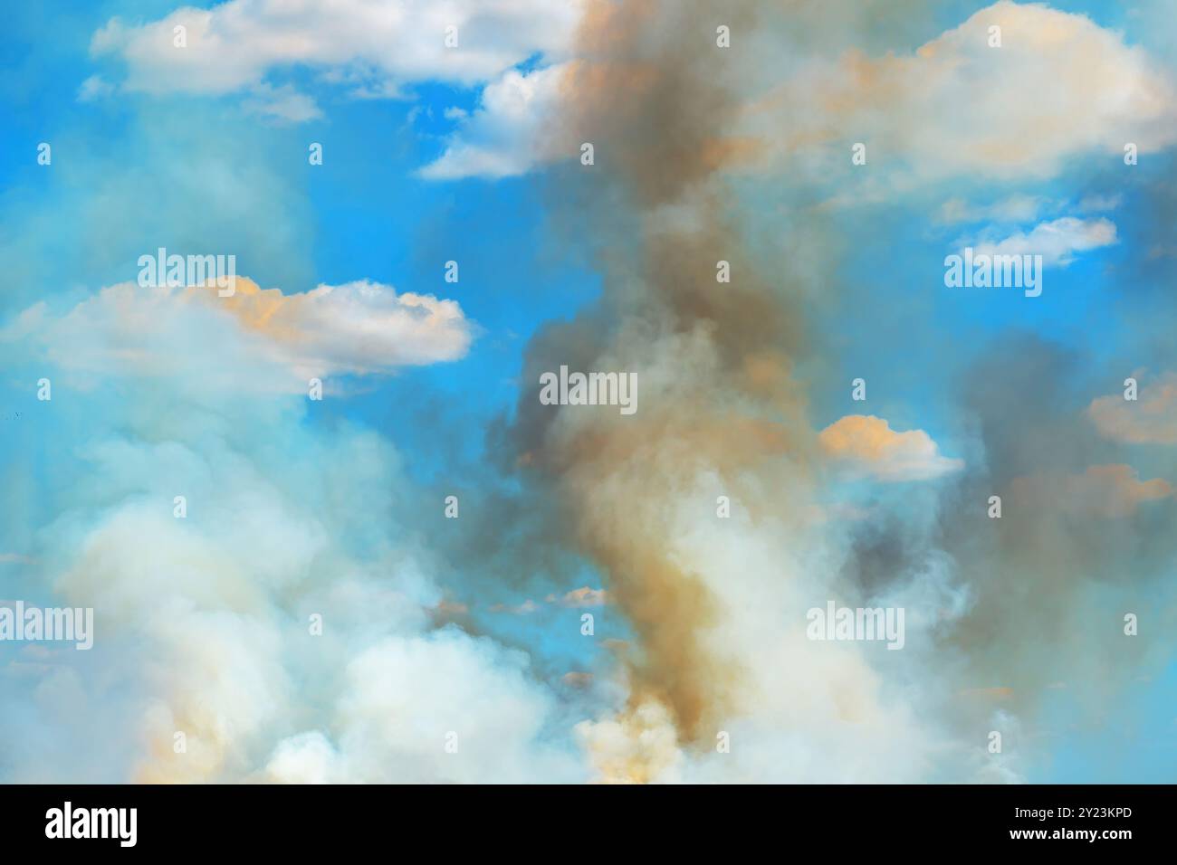 Smoke cloud after wildfire in meadow, selective focus Stock Photo