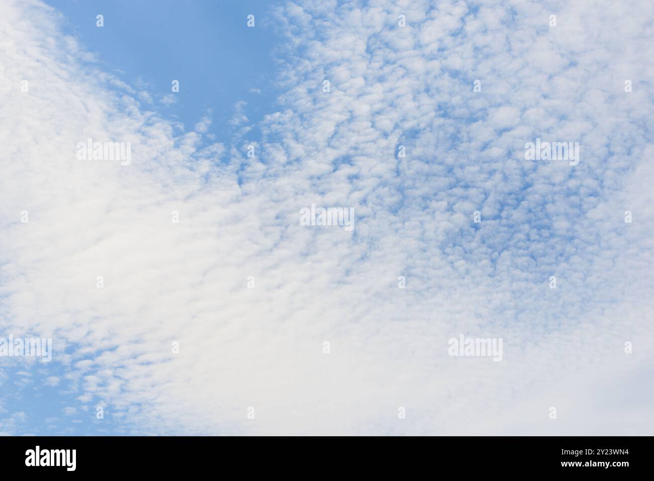 Blue sky and white spindrift clouds background, texture, cloudscape background Stock Photo