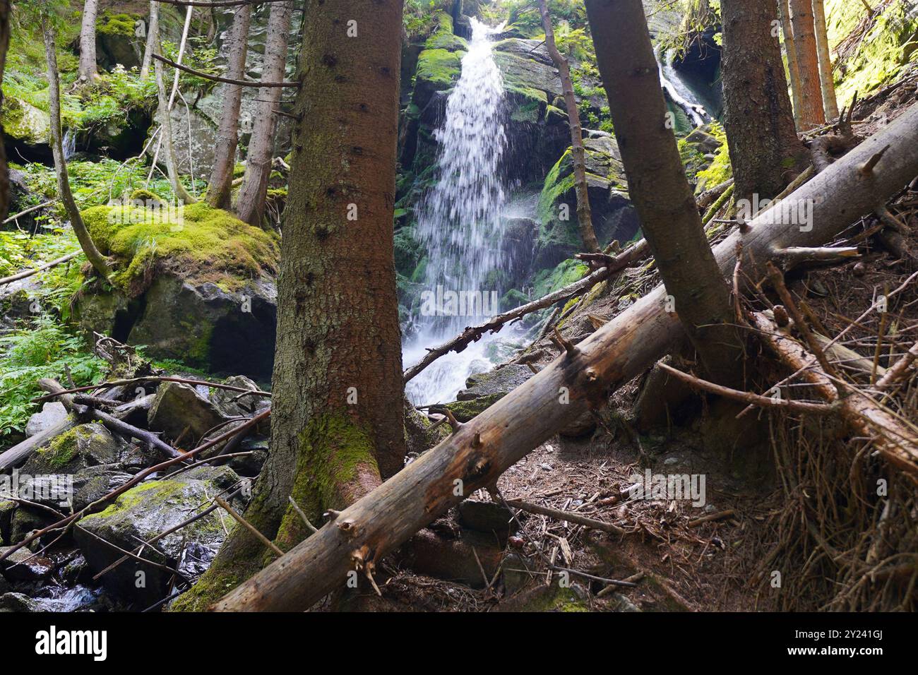 Wildwasserpfad, Mariensee, Niederösterreich, Austria Stock Photo