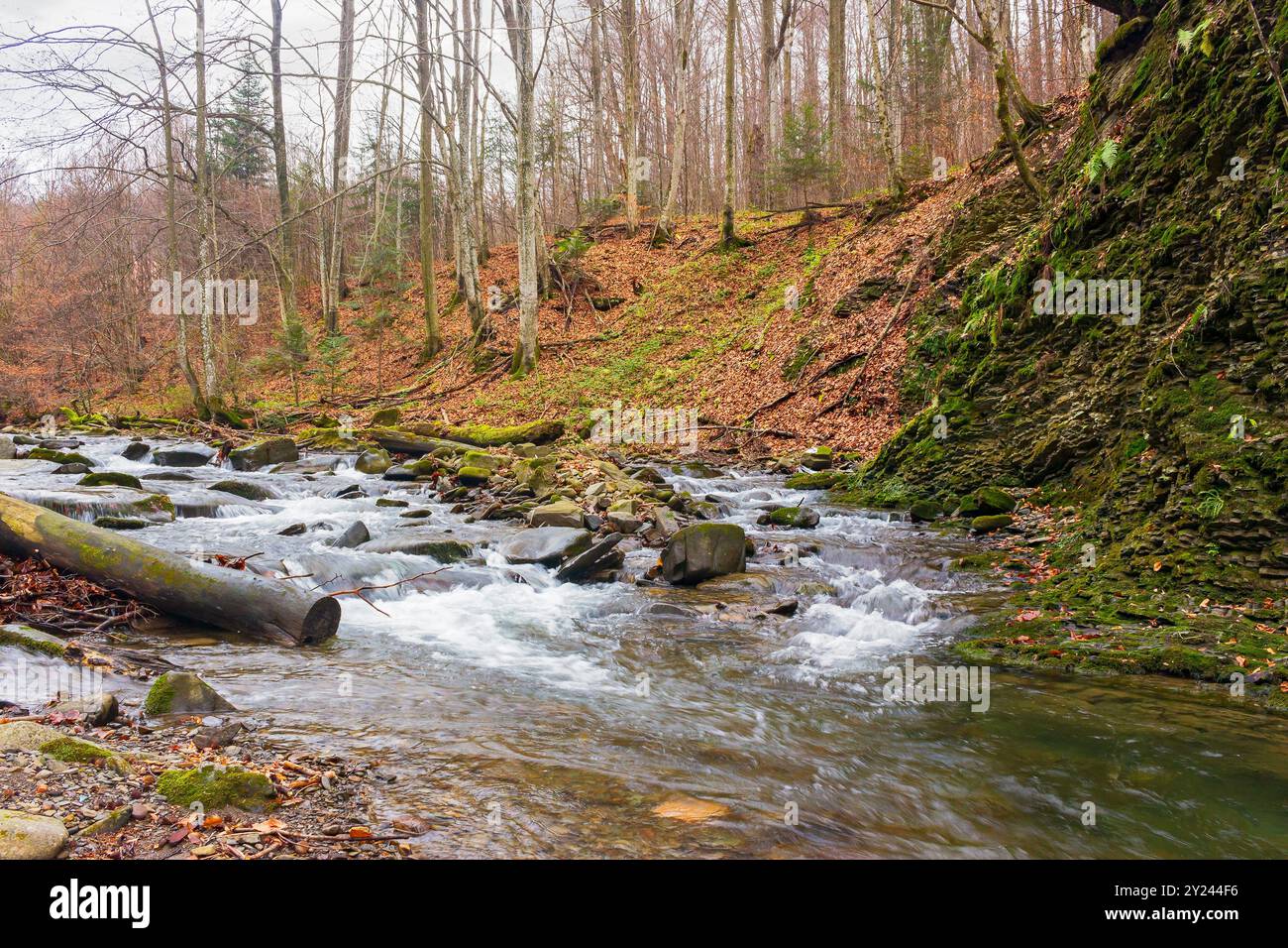 landscape with mountains, forest and a river in front. beautiful scenery in autumn. leafless forest with foliage on the ground Stock Photo