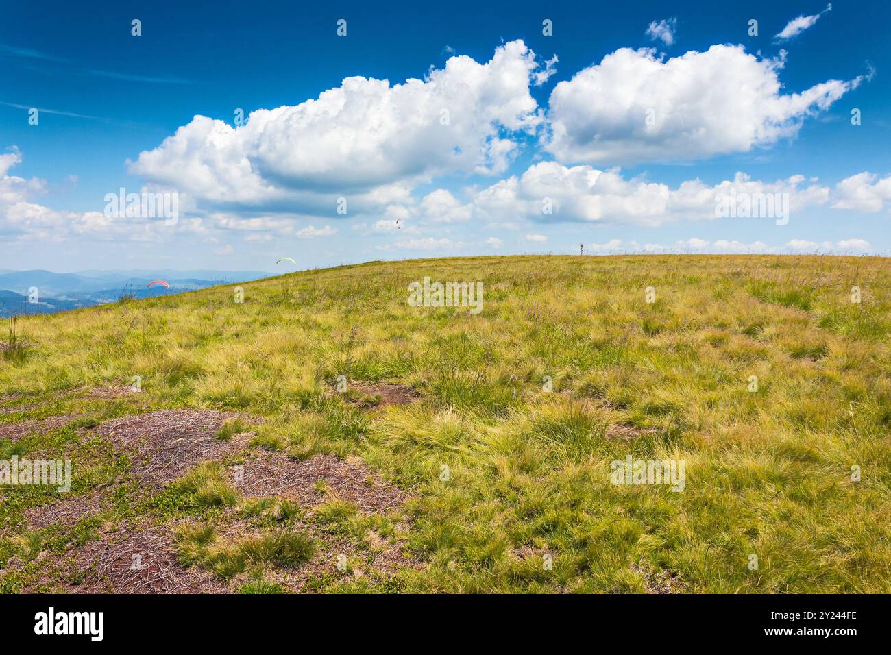 alpine meadow of carpathian mountain. sunny weather. mountainous landscape of ukraine in summer. beautiful view from borzhava ridge. fluffy clouds on Stock Photo
